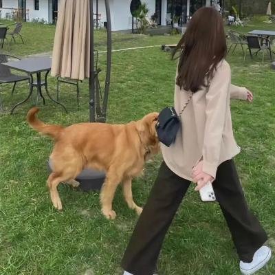 红杏痴魂